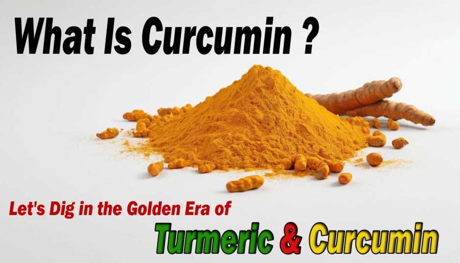 The Benefits Of Turmeric Curcumin